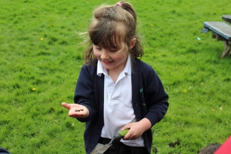 molly toal lancashire wildlife trust